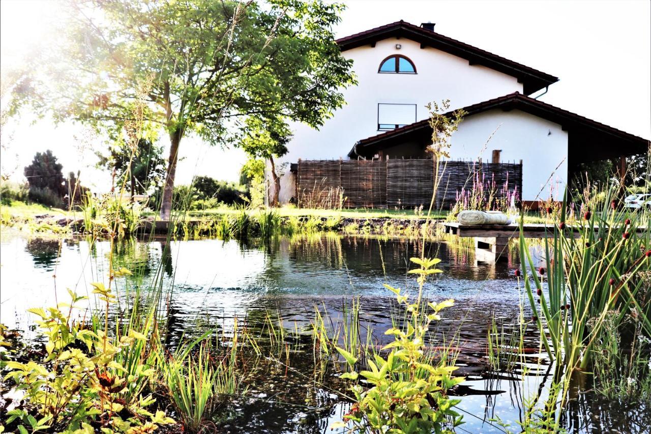 BioWeingut&Landhotel Gänz Hackenheim Exterior foto